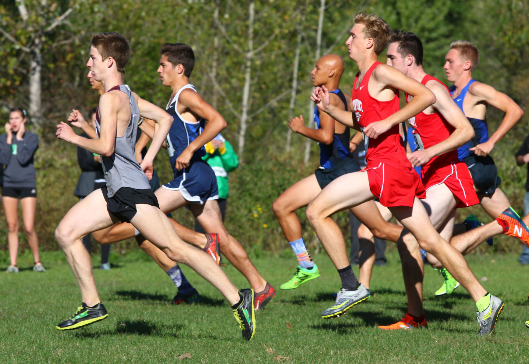 Gallery: Duneland Athletic Conference cross country meet